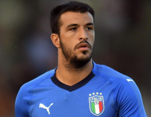 蓬勃发展 蓬勃发展